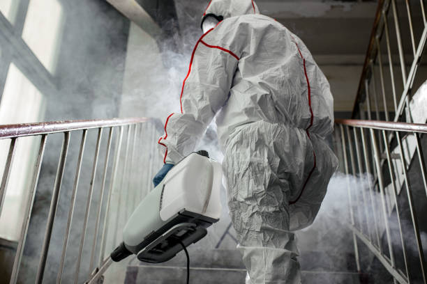 Best Comprehensive Air Testing for Mold Contaminants  in Bonner Springs, KS